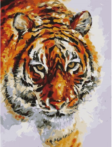 Картина по номерам Остров Сокровищ Тигр 40х50 см на подрамнике, акрил, кисти