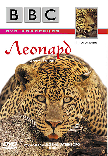 BBC: Плотоядные. Леопард DVD/1999