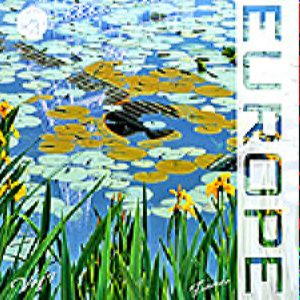 Various Europe vol.07 France CD/2007/Electronic/������