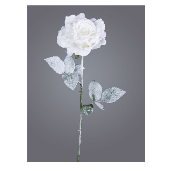 Роза Джорджия белоснежная, 66 см