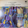 Ludwig van Beethoven Concerto For Piano, Violin, Cello And Orchestra LP/1976/Classical/Russia/Nm
